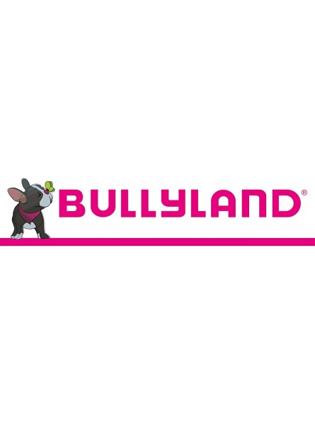 Bullyland 13515 Spielfigur Salamander Bruni aus Walt Disney Die Eiskönigin ca. 7,2 cm detailgetreu ideal als Tortenfigur und kleines Geschenk für Kinder ab 3 Jahren - B087FGV3GR